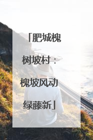 肥城槐树坡村：槐坡风动绿藤新