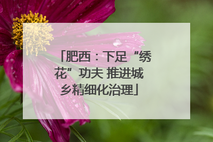 肥西：下足“绣花”功夫 推进城乡精细化治理