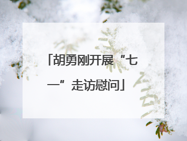 胡勇刚开展“七一”走访慰问