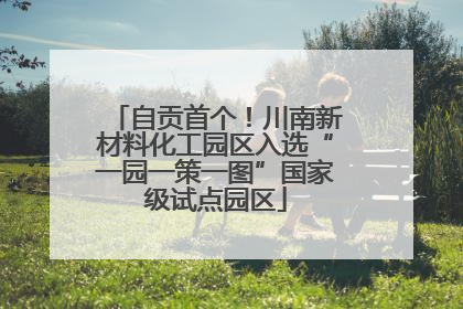 自贡首个！川南新材料化工园区入选“一园一策一图”国家级试点园区