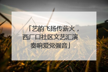 艺韵飞扬传薪火，西厂口社区文艺汇演奏响爱党强音