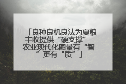 良种良机良法为夏粮丰收提供“硬支撑” 农业现代化图景有“智”更有“质”