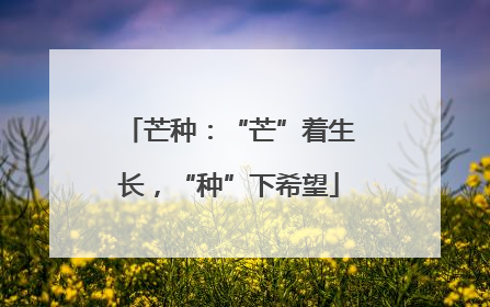 芒种：“芒”着生长，“种”下希望
