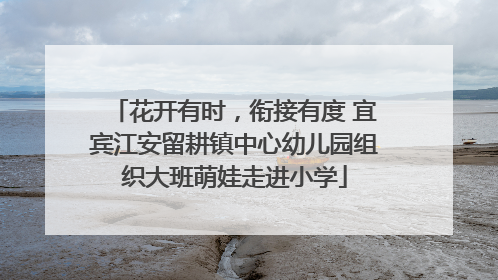 花开有时，衔接有度 宜宾江安留耕镇中心幼儿园组织大班萌娃走进小学