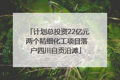 计划总投资22亿元 两个精细化工项目落户四川自贡沿滩