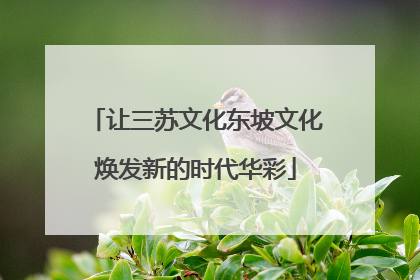 让三苏文化东坡文化焕发新的时代华彩