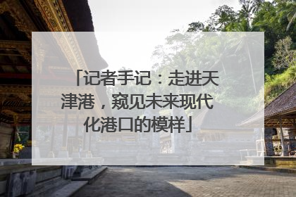 记者手记：走进天津港，窥见未来现代化港口的模样