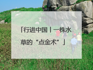 行进中国丨一株水草的“点金术”
