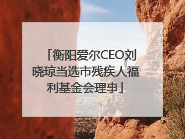 衡阳爱尔CEO刘晓琼当选市残疾人福利基金会理事