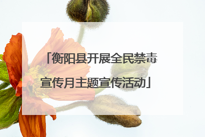 衡阳县开展全民禁毒宣传月主题宣传活动