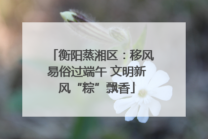 衡阳蒸湘区：移风易俗过端午 文明新风“粽”飘香