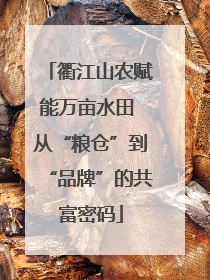 衢江山农赋能万亩水田 从“粮仓”到“品牌”的共富密码