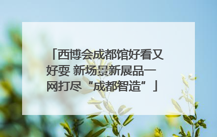 西博会成都馆好看又好耍 新场景新展品一网打尽“成都智造”
