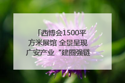 西博会1500平方米展馆 全景呈现广安产业“建圈强链”｜西博视界