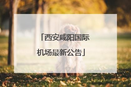 西安咸阳国际机场最新公告