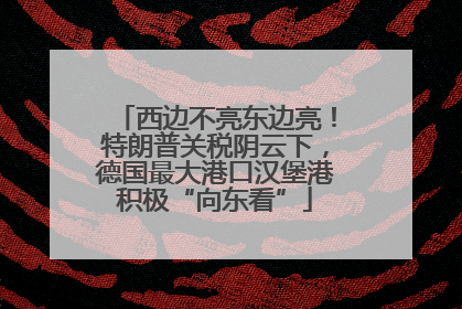 西边不亮东边亮！特朗普关税阴云下，德国最大港口汉堡港积极“向东看”