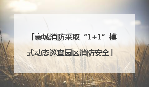 襄城消防采取“1+1”模式动态巡查园区消防安全