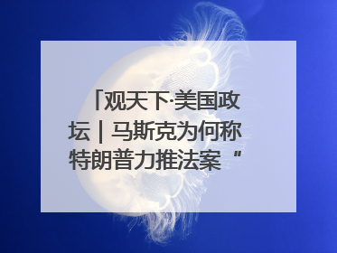 观天下·美国政坛｜马斯克为何称特朗普力推法案“令人作呕”