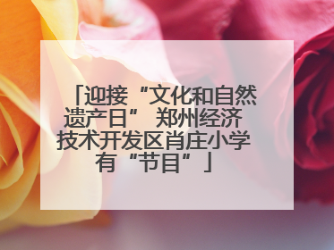 迎接“文化和自然遗产日” 郑州经济技术开发区肖庄小学有“节目”