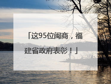 这95位闽商，福建省政府表彰！