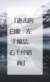 进击的白象：左手爆品、右手经销商