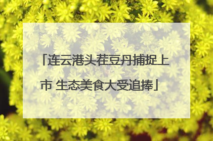 连云港头茬豆丹捕捉上市 生态美食大受追捧