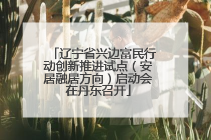 辽宁省兴边富民行动创新推进试点（安居融居方向）启动会在丹东召开