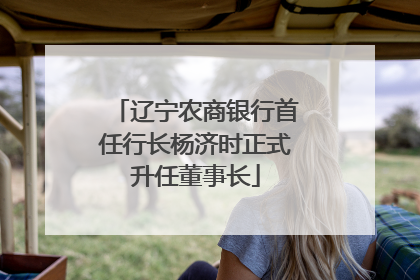 辽宁农商银行首任行长杨济时正式升任董事长