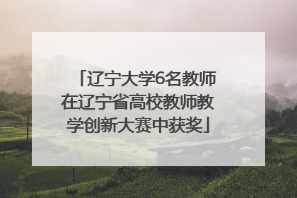 辽宁大学6名教师在辽宁省高校教师教学创新大赛中获奖
