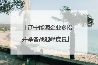 辽宁能源企业多措并举备战迎峰度夏