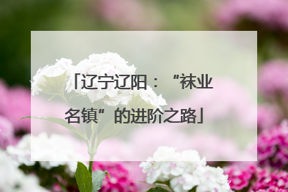 辽宁辽阳：“袜业名镇”的进阶之路