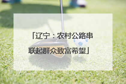 辽宁：农村公路串联起群众致富希望