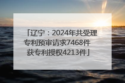 辽宁：2024年共受理专利预审请求7468件 获专利授权4213件