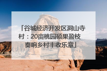 谷城经济开发区洞山寺村：20亩桃园硕果盈枝 奏响乡村丰收乐章