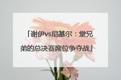 谢伊vs尼基尔：堂兄弟的总决赛席位争夺战