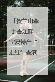 贺兰山牵手香江畔 宁夏特产“走红”香港