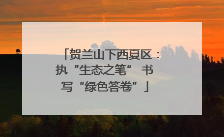 贺兰山下西夏区：执“生态之笔” 书写“绿色答卷”