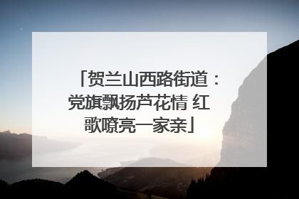 贺兰山西路街道：党旗飘扬芦花情 红歌嘹亮一家亲