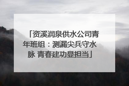 资溪润泉供水公司青年班组：测漏尖兵守水脉 青春建功显担当