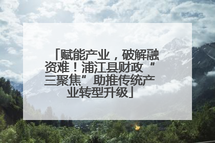 赋能产业，破解融资难！浦江县财政“三聚焦”助推传统产业转型升级