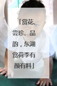 赏花、尝珍、品韵，东湖赏荷季有颜有料