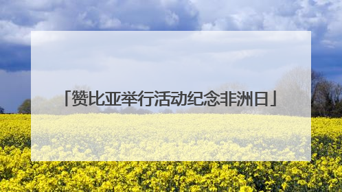 赞比亚举行活动纪念非洲日