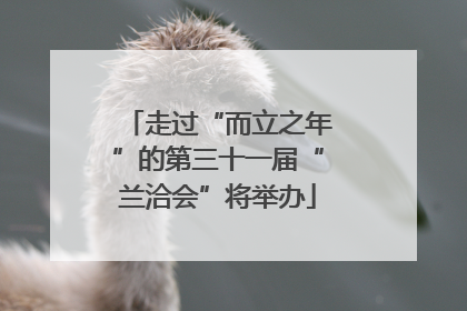 走过“而立之年”的第三十一届“兰洽会”将举办