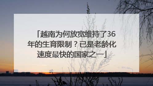 越南为何放宽维持了36年的生育限制？已是老龄化速度最快的国家之一