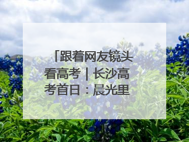 跟着网友镜头看高考｜长沙高考首日：晨光里的奔赴与守望