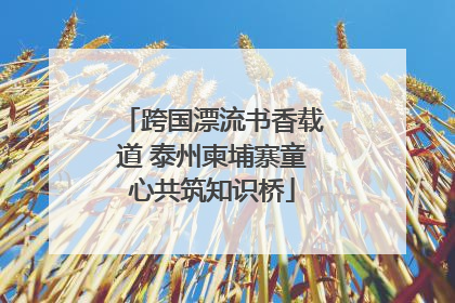 跨国漂流书香载道 泰州柬埔寨童心共筑知识桥