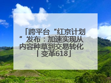 跨平台“红京计划”发布：加速实现从内容种草到交易转化丨变革618