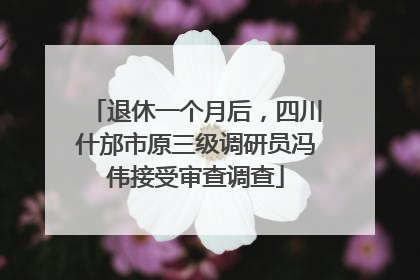 退休一个月后，四川什邡市原三级调研员冯伟接受审查调查