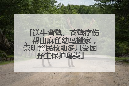 送牛背鹭、苍鹭疗伤、帮山麻雀幼鸟搬家，崇明警民救助多只受困野生保护鸟类