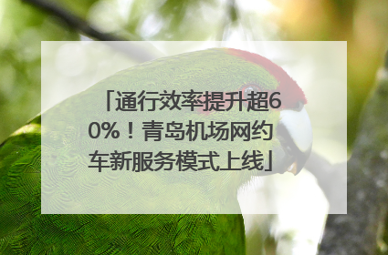 通行效率提升超60%！青岛机场网约车新服务模式上线